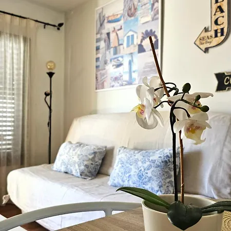 Sabai * Коральео